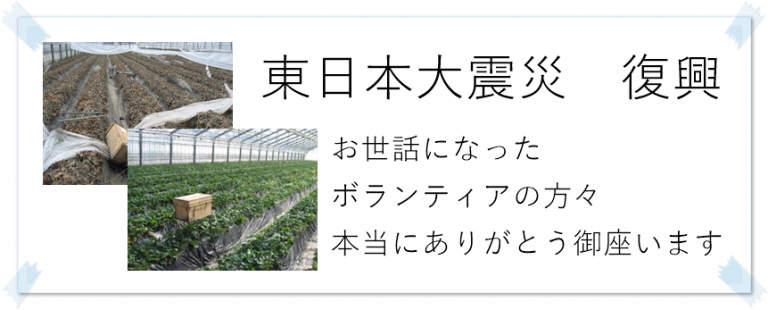 いちごランド こうちゃん園 – 亘理町でゆっくり楽しめる いちご狩り・いちご直売